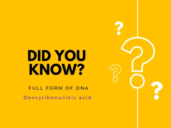 DNA Full Form